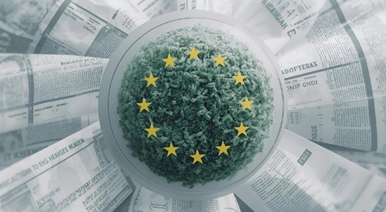 CSRD ve ESRS’yi Anlamak: İşletmeler için Pratik Kılavuz